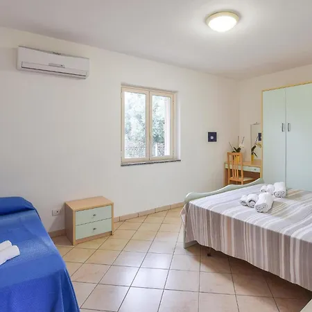 Lovely In With Swimming Pool Apartment Ricadi